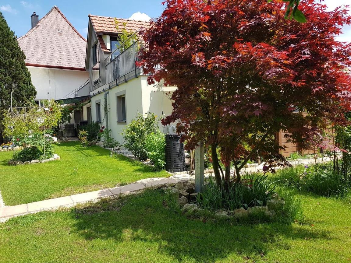 Bnb Comfort Guesthouse Olten - Lostorf ภายนอก รูปภาพ